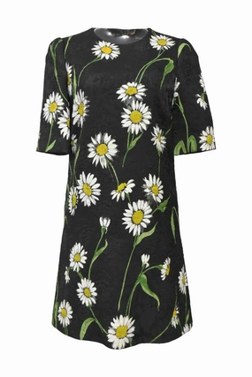 Chilly Day Layers [WW41054] Dolce & Gabbana | Mini Dress