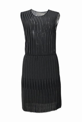 Shine Skin [WW41714] Dion Lee | Mini Dress