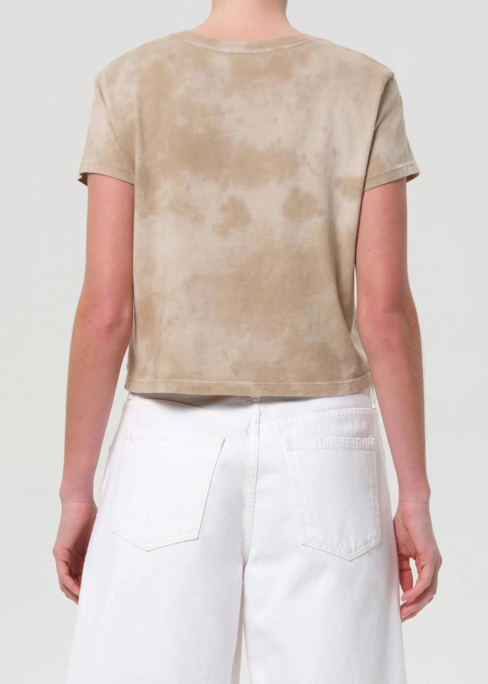 Brushed Inner Layer Adine Shrunken Tee in Plume