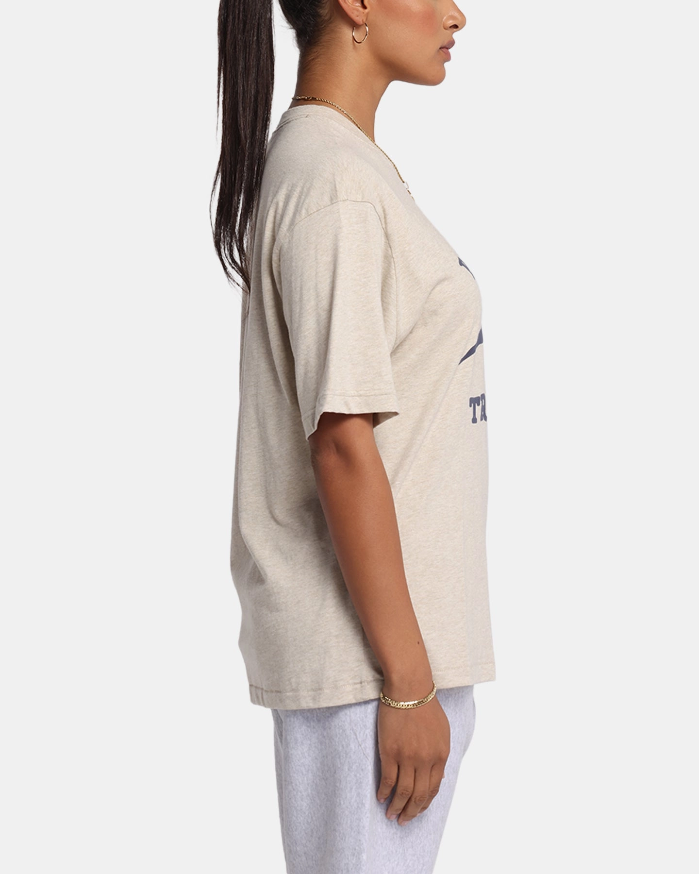 Champion Vintage Mix P.E Class T-Shirt Oatmeal Heather NonIrritatingTags