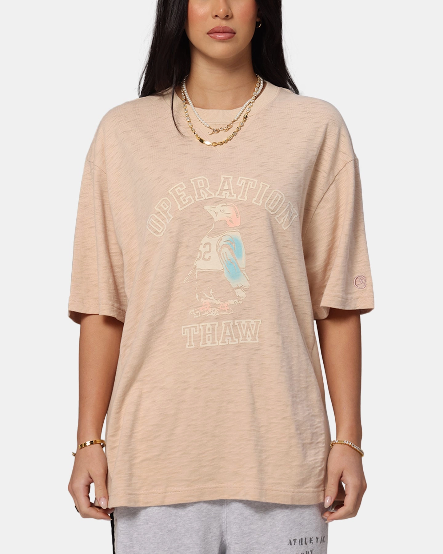 HypoallergenicFabric Champion RW Expansion T-Shirt Mocha