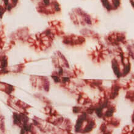 Networking Session Local Favorite GLADICE TOP